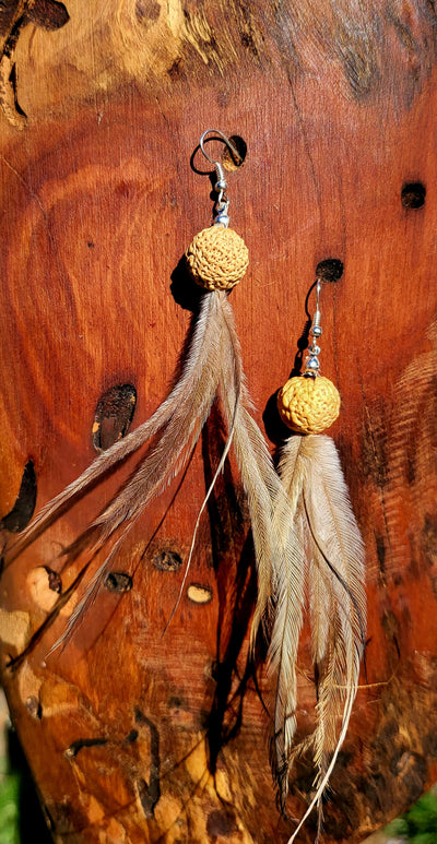 Emu Feather and Quandong Seed Earrings 